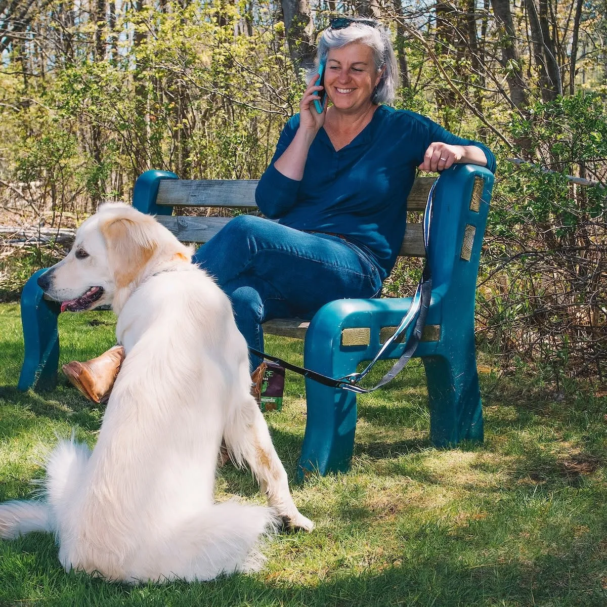Quantum 6-in-1 Dog Lead