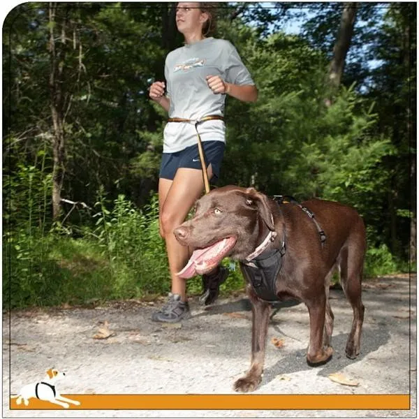 Quantum 6-in-1 Dog Lead