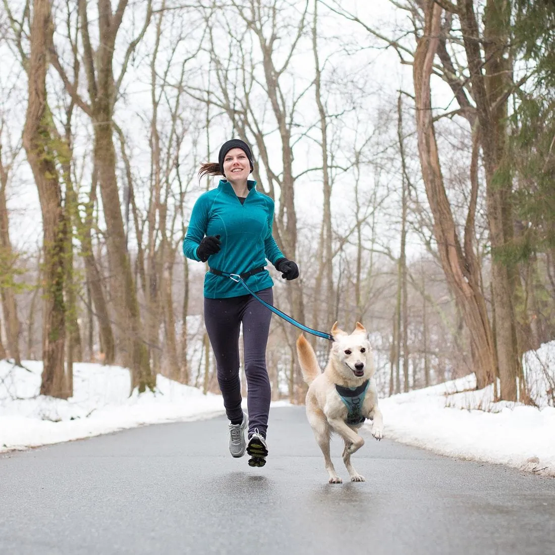 Quantum 6-in-1 Dog Lead