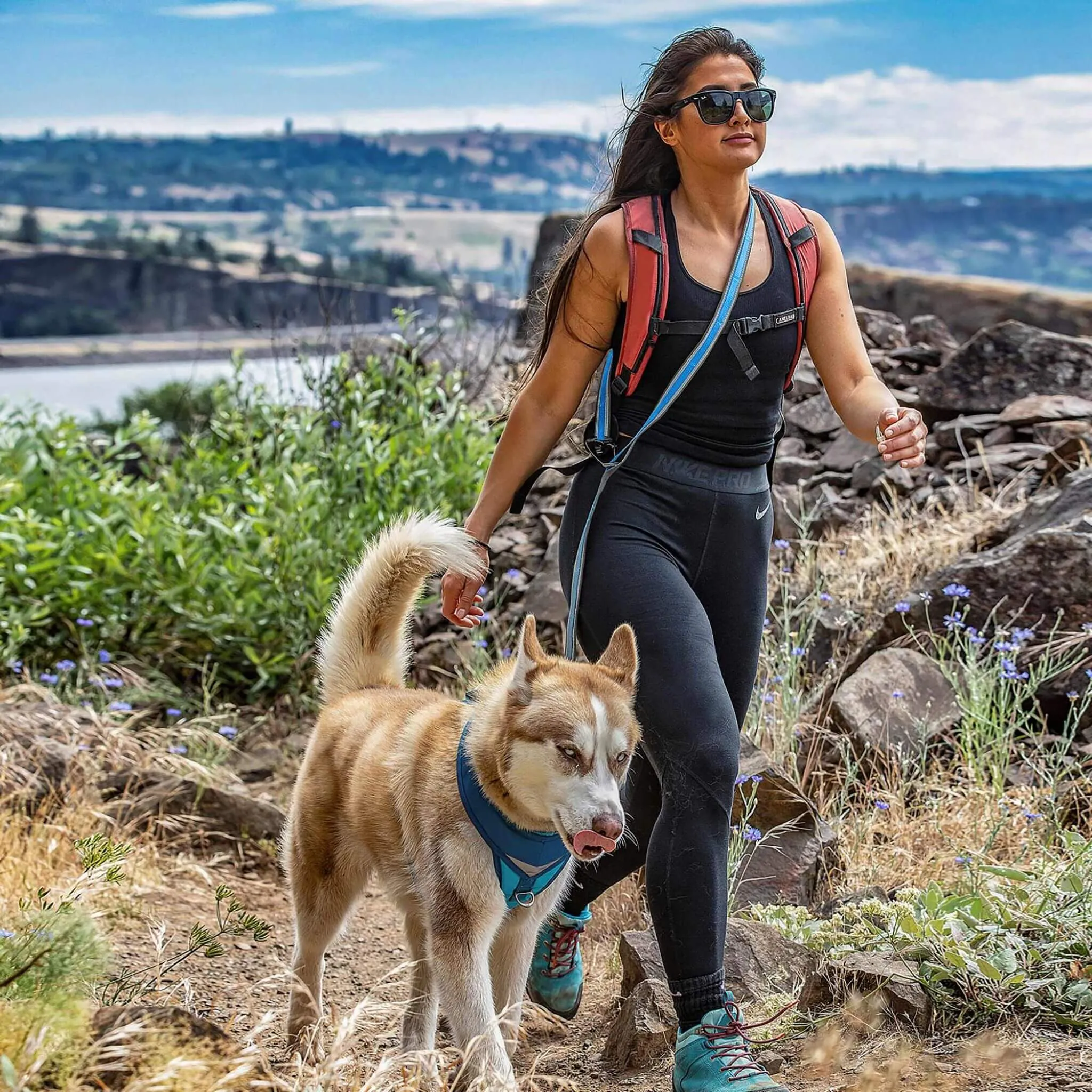Quantum Dog Leash