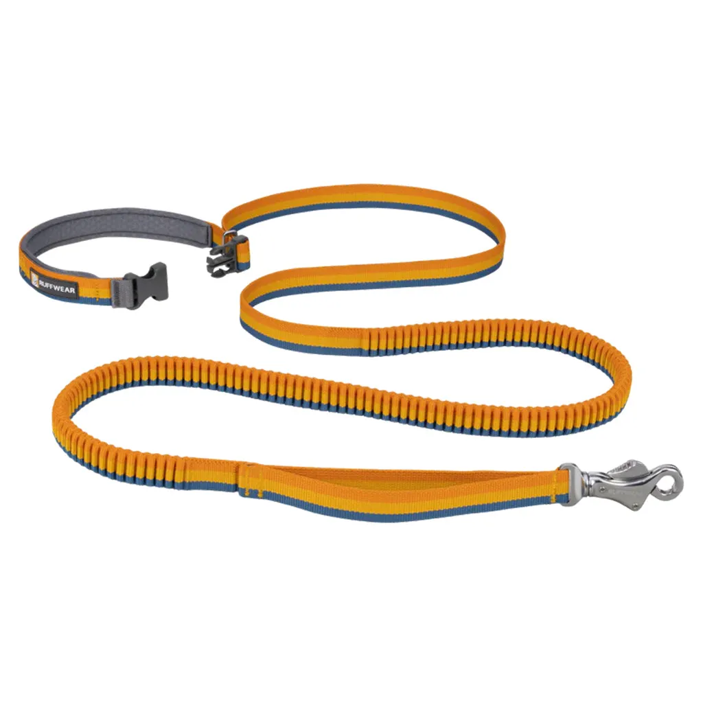 Roamer Dog Running Leash 5.5'-7'
