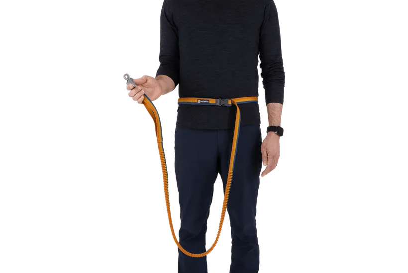 Ruffwear Roamer Bungee Dog Leash in Yellow Snow