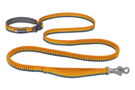 Ruffwear Roamer Bungee Dog Leash in Yellow Snow