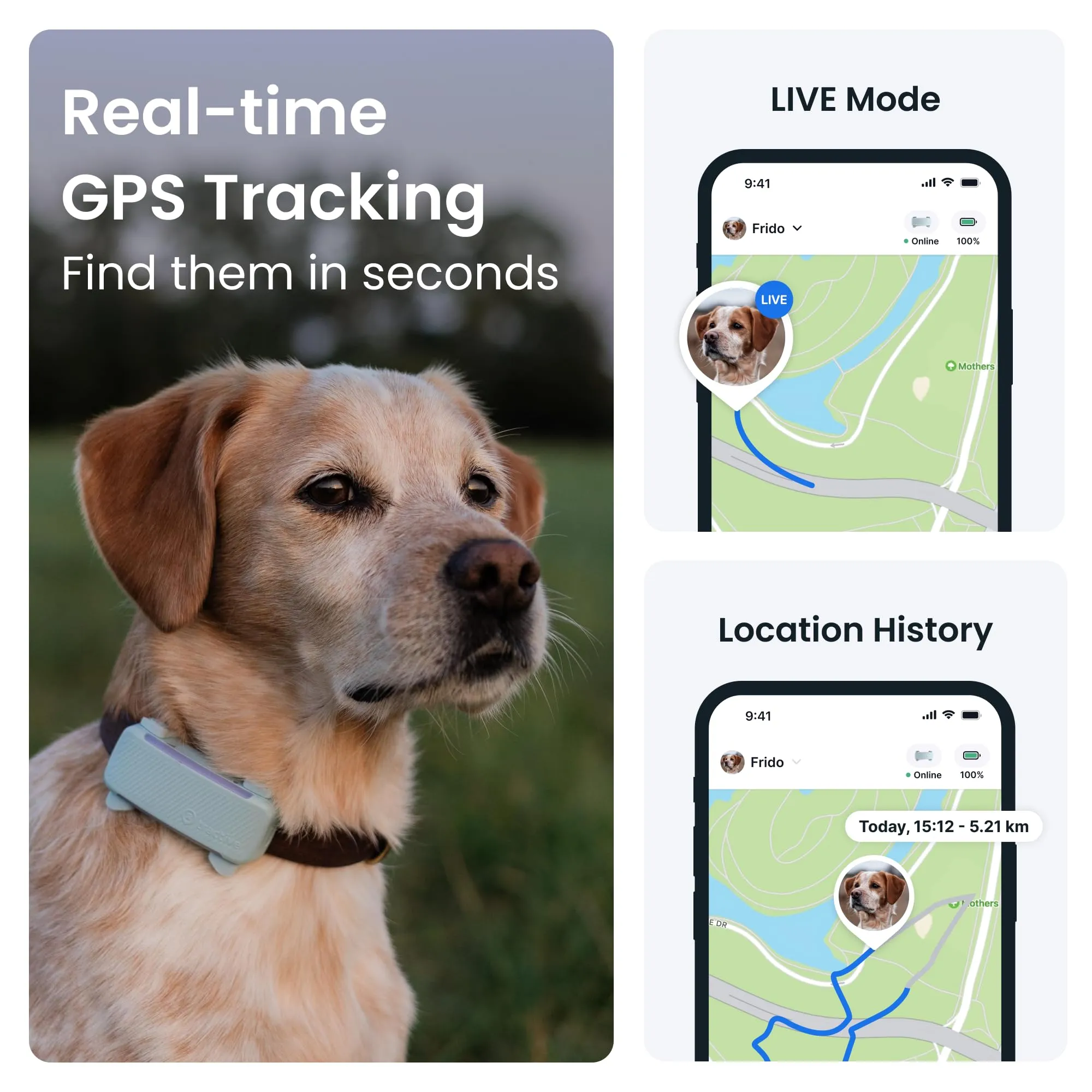 Tractive GPS Dog Tracker | 2025 Edition | Market leader | Real-time location tracking | Escape Alerts | Activity Monitoring | Health Alerts | Bark Monitoring (Mint)
