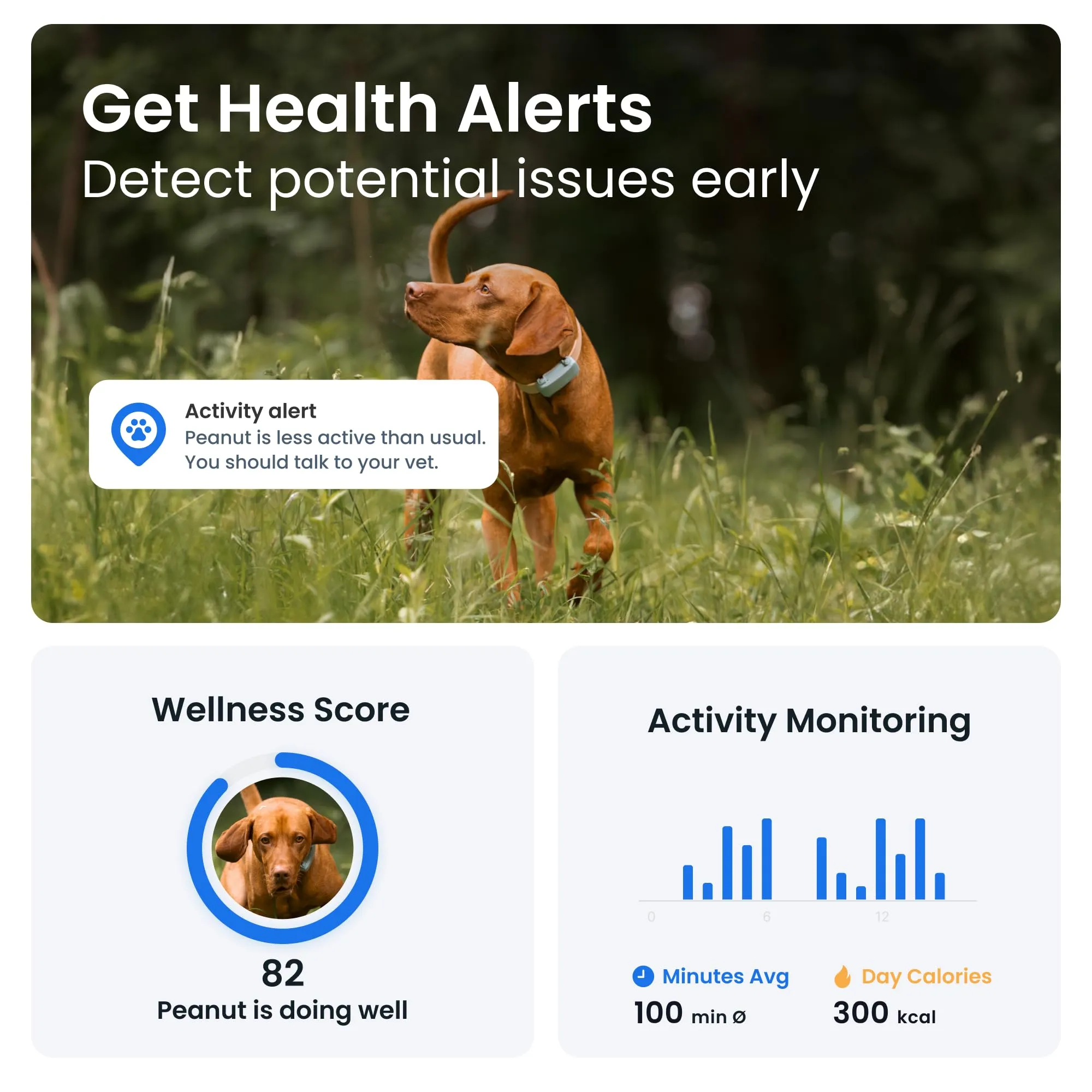 Tractive GPS Dog Tracker | 2025 Edition | Market leader | Real-time location tracking | Escape Alerts | Activity Monitoring | Health Alerts | Bark Monitoring (Mint)