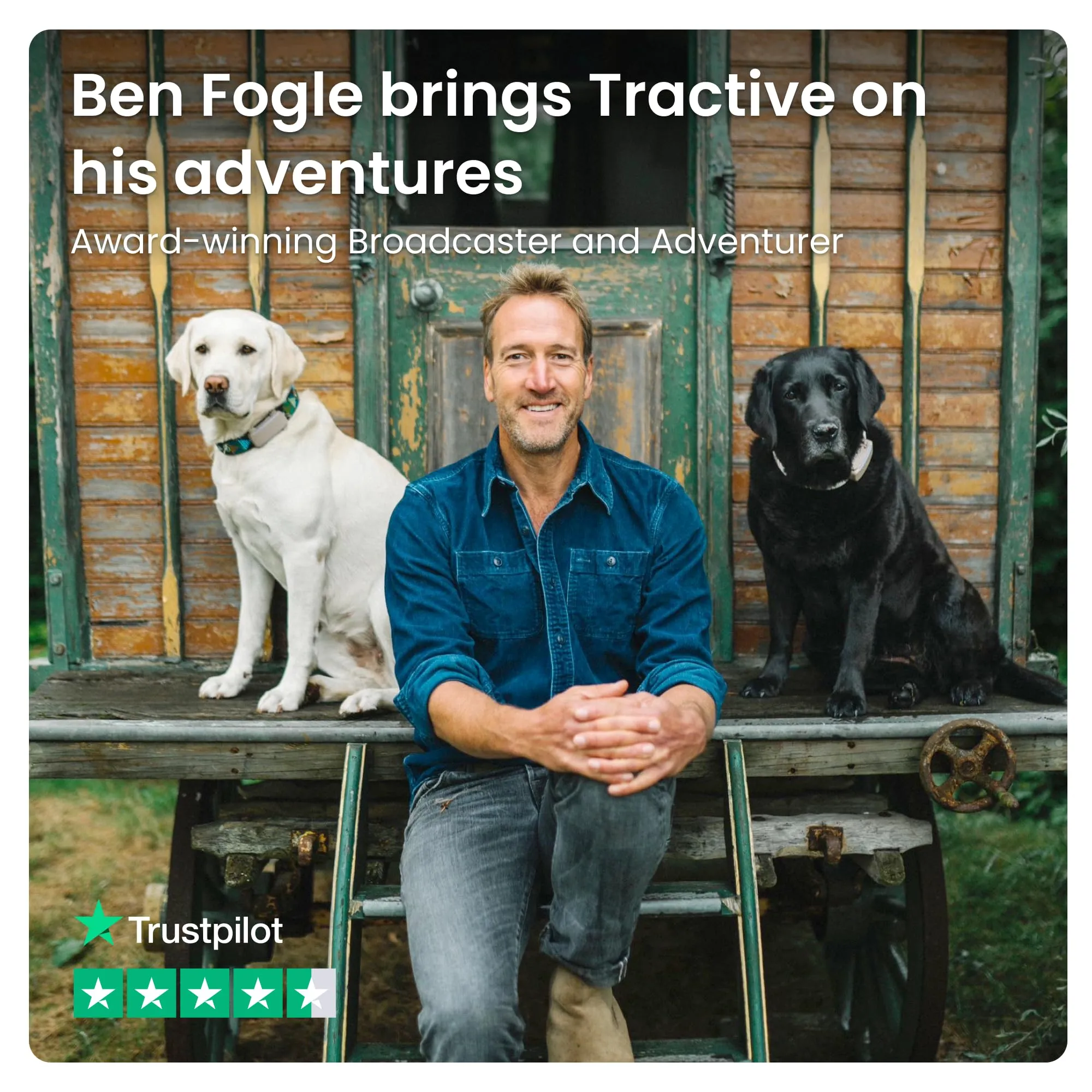 Tractive GPS Dog Tracker | 2025 Edition | Market leader | Real-time location tracking | Escape Alerts | Activity Monitoring | Health Alerts | Bark Monitoring (Mint)