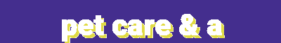 Trending Now & Care Corner – Paw Balms, GPS Trackers, Grooming Kits & More